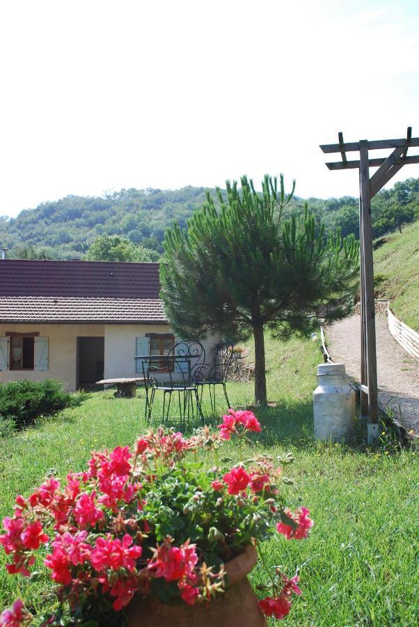 Chambres D'Hotes Soleil Et Cacao Siccieu-Saint-Julien-et-Carisieu Exterior foto